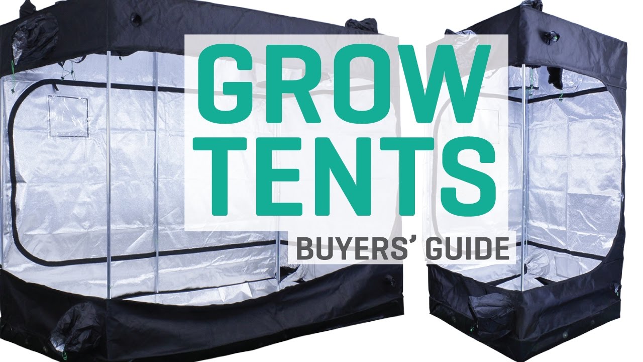 Grow Tents - Buyers' Guide - YouTube