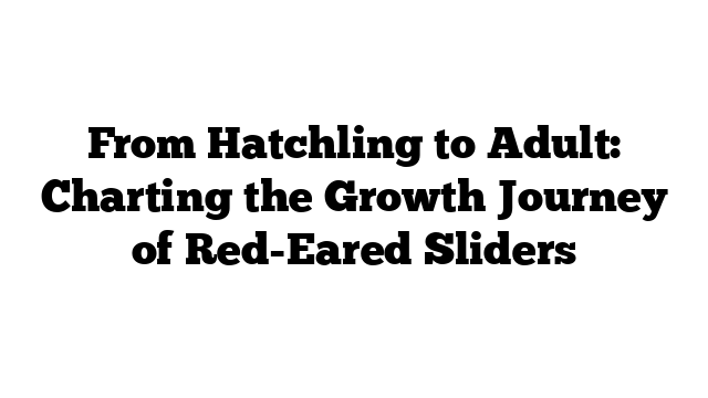From Hatchling to Adult: Charting the Growth Journey of Red-Eared Sliders