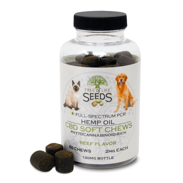 Best CBD Cat Treats 2022 - What are the Top 10 ? (Top Reviews)