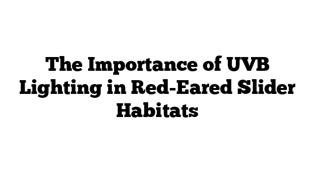 The Importance of UVB Lighting in Red-Eared Slider Habitats